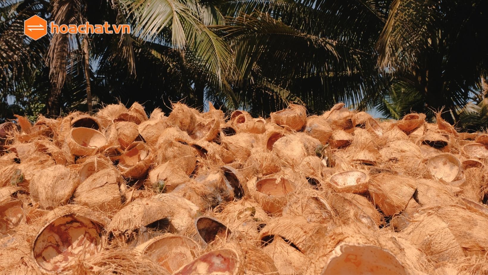 than hoạt tính gáo dừa