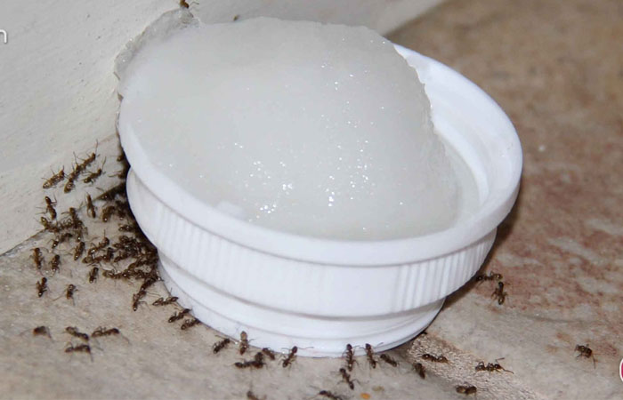 Ứng dụng borax hàn the