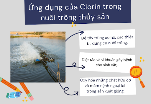 ứng dụng của clorin