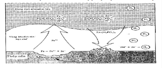 Mo-hinh-qua-trinh-hinh-thanh-lop-phu-phosphate-tren-be-mat-thep