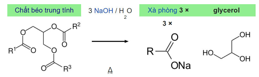 Quy trình sản xuất Glycerol