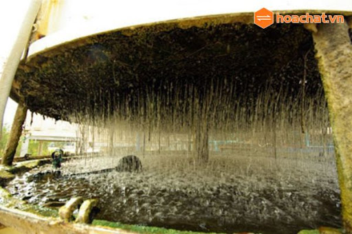 rong rêu trên tháp tải nhiệt