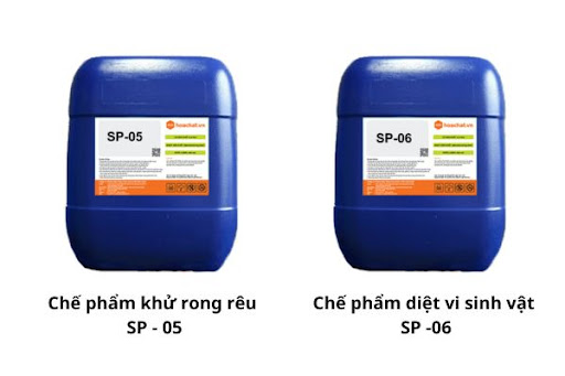 khử rong rêu và diệt vi sinh vật