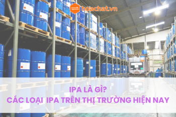 CÁC LOẠI IPA TRÊN THỊ TRƯỜNG HIỆN NAY