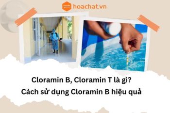 Cloramin B, Cloramin T là gì?  Làm sao để sử dụng Cloramin B hiệu quả?