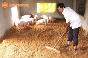 Biện pháp xử lý môi trường trong chăn nuôi - Những lưu ý khi sử dụng hóa chất xử lý nước thải trong chăn nuôi