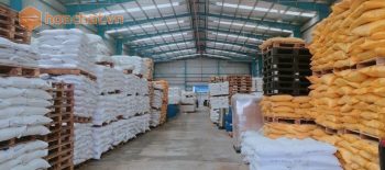 Hóa chất xử lý môi trường là gì? Các loại hóa chất xử lý môi trường được sử dụng nhiều