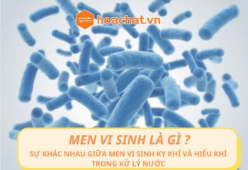 MEN VI SINH LÀ GÌ ? SỰ KHÁC NHAU GIỮA MEN VI SINH HIẾU KHÍ VÀ KỊ KHÍ TRONG XỬ LÝ NƯỚC