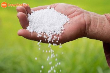 Phân Ure là gì? Thành phần và ứng dụng của phân Ure Việt Nam