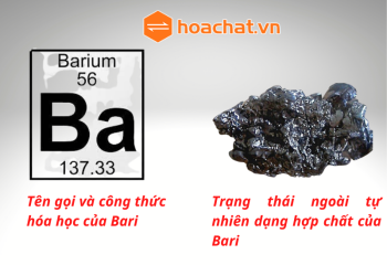 Mua Ba ở đâu uy tín? Báo giá và địa chỉ mua Bari uy tín